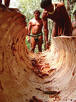 Kalapalo men fashion a canoe from an immense Cerrado log. Photo by EGiacomazzi (Flickr).